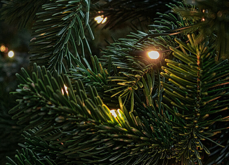 Close-up detail of a Christmas tree with lights
